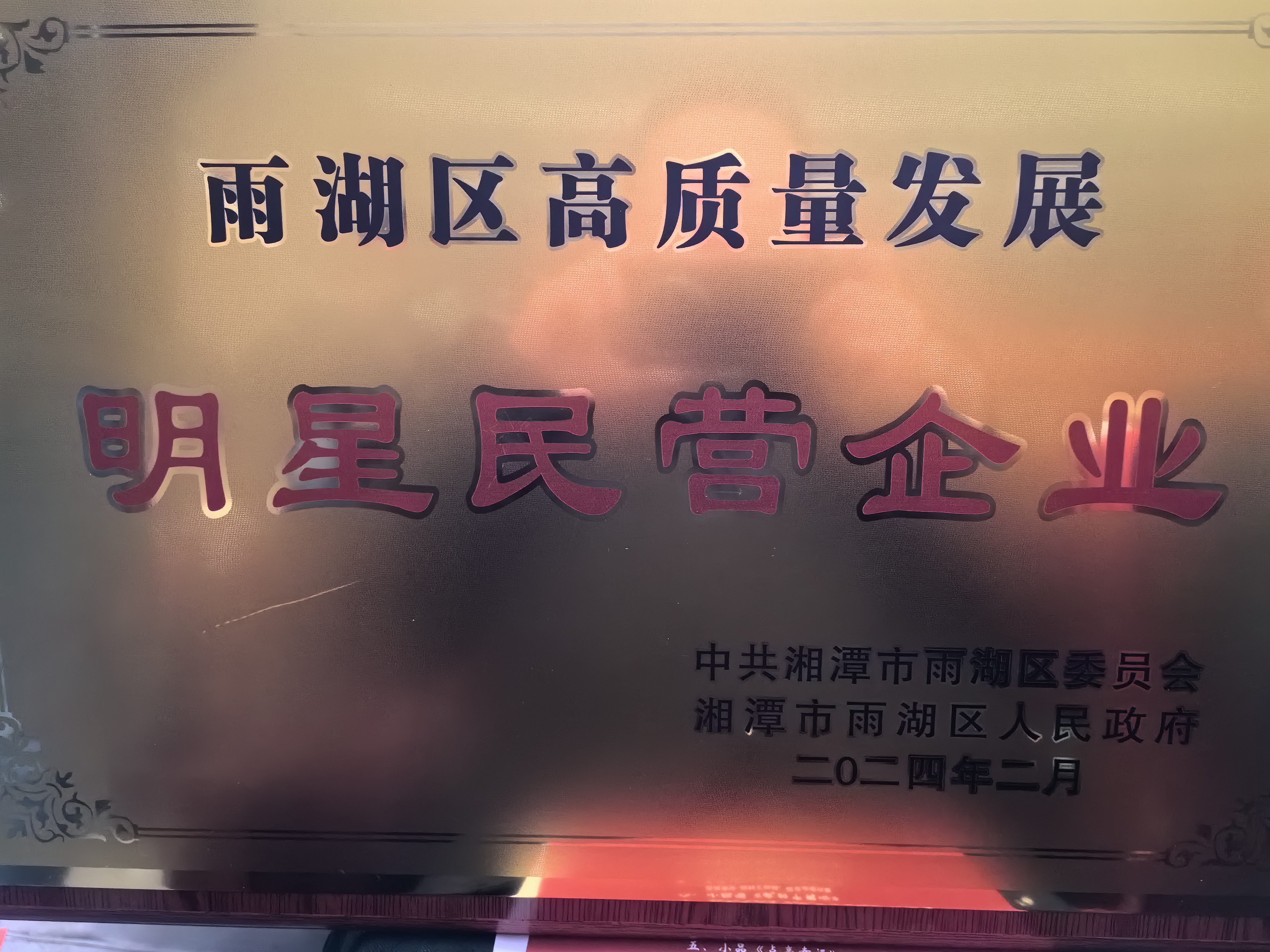 OD体育（集团）有限公司官网荣获“雨湖区高质量发展明星民营企业”称号